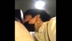 什么东西像竹子又不是竹子而且是紫色的是一个植物？游戏画面